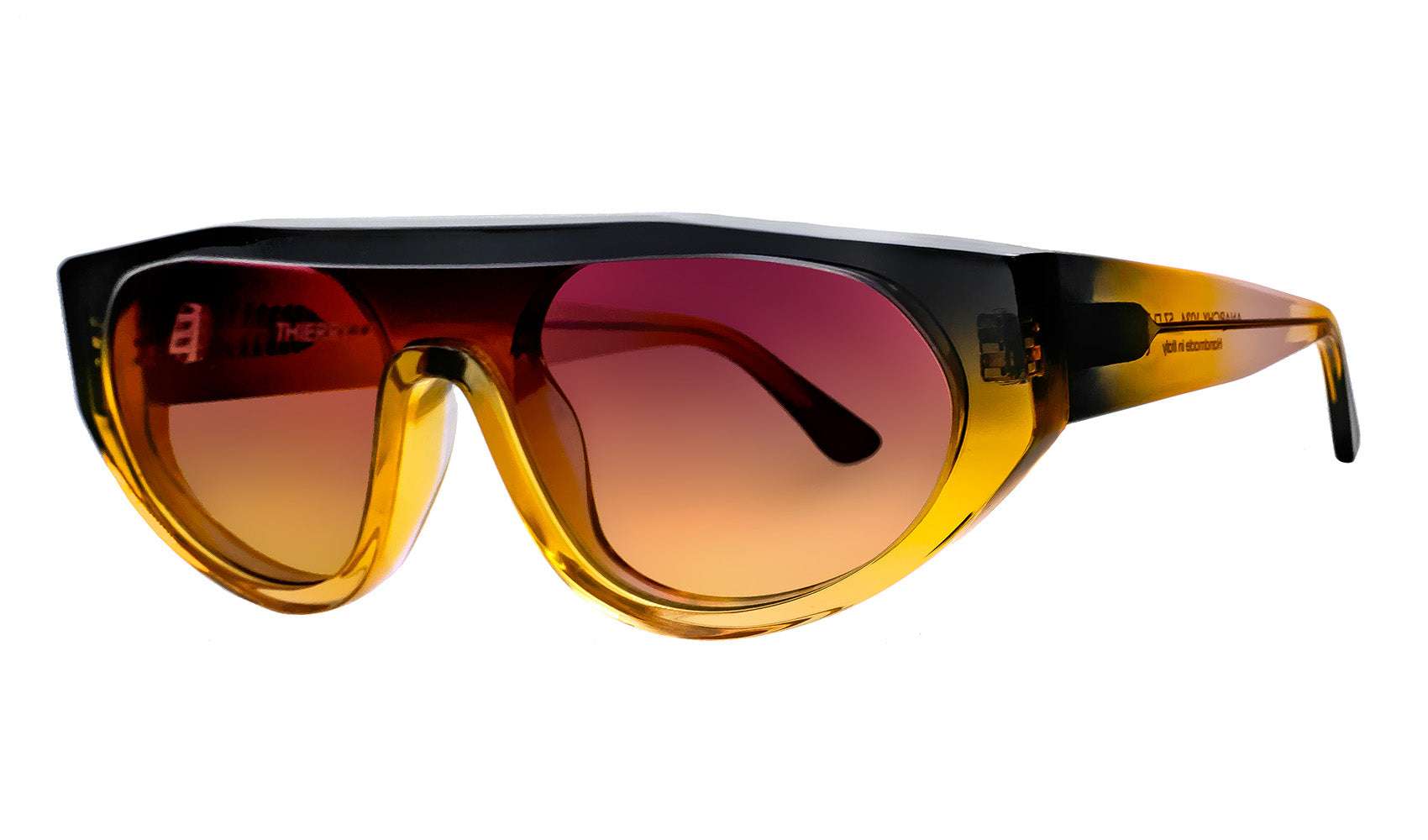 ANARCHY 1034 Handmade Luxury Shield Sunglasses – THIERRY LASRY